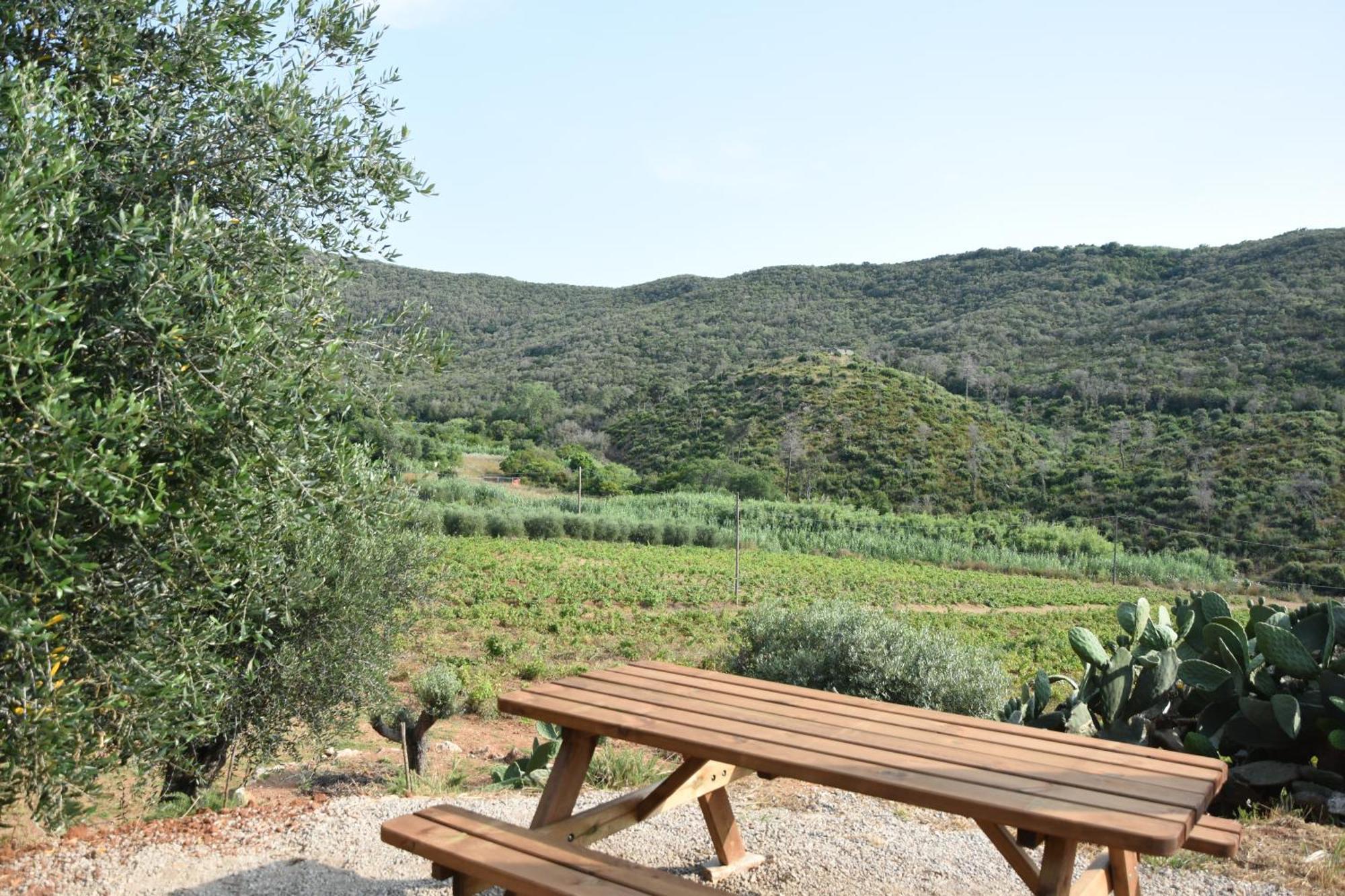 Elba Borgo Di Latrano Apartment Magazzini  Luaran gambar